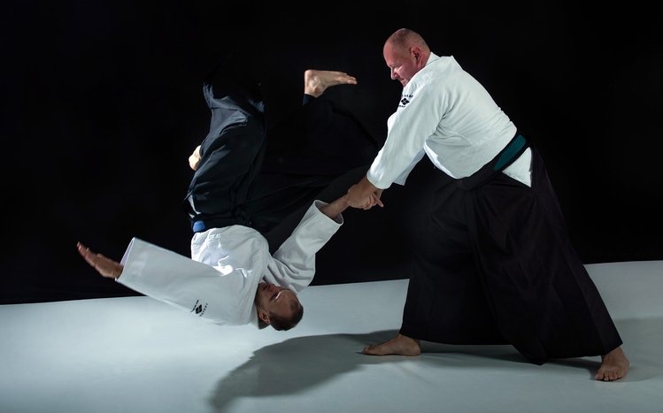 Aikido Theme screenshot #12
