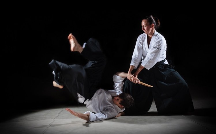Aikido Theme screenshot #6