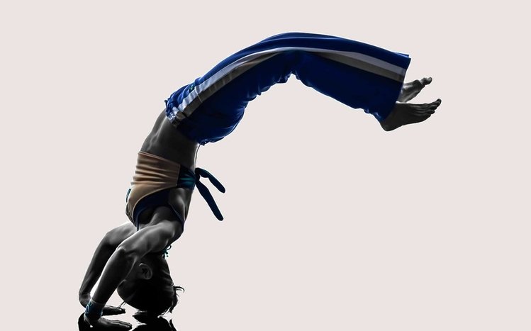 Capoeira Theme screenshot #4