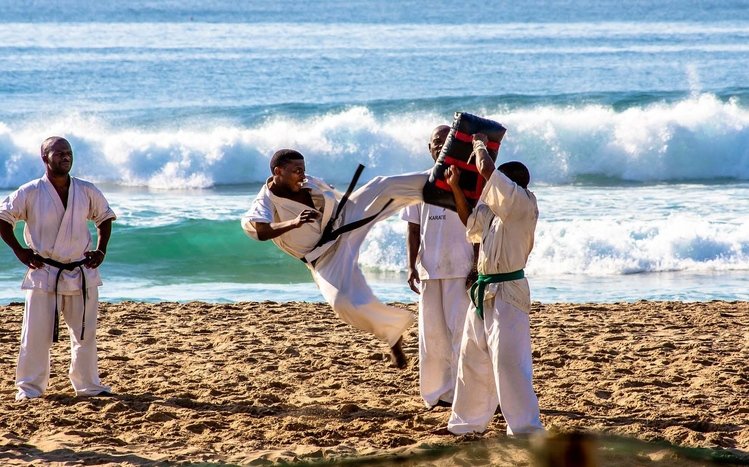 Karate Theme screenshot #6