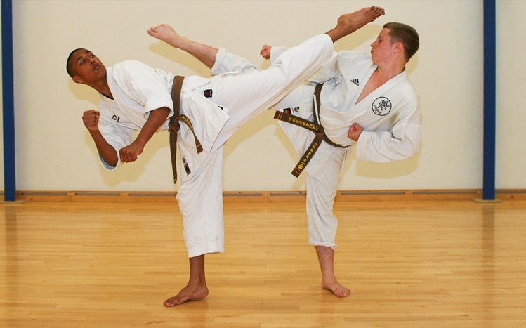 Karate Theme screenshot #12