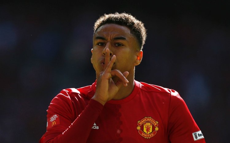 Manchester United Theme screenshot #14