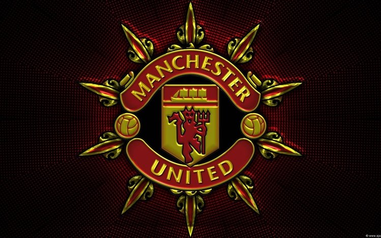 Manchester United Theme screenshot #7