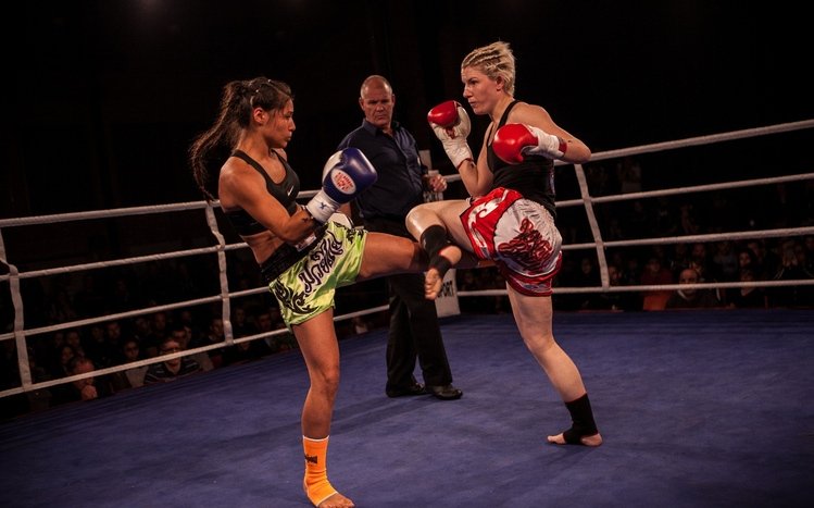 Muay Thai Theme screenshot #7