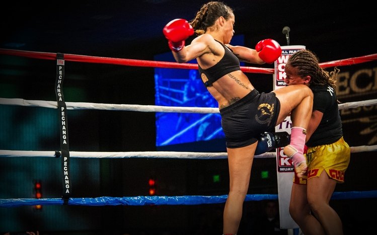 Muay Thai Theme screenshot #6