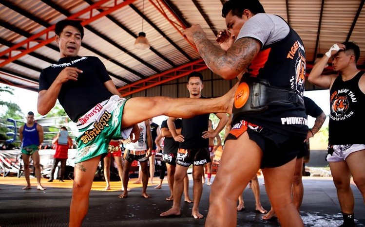 Muay Thai Theme screenshot #9