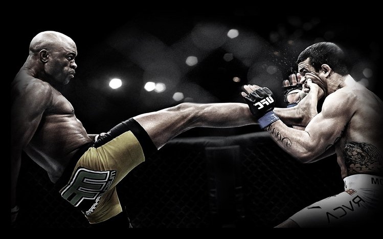 Muay Thai Theme screenshot #12