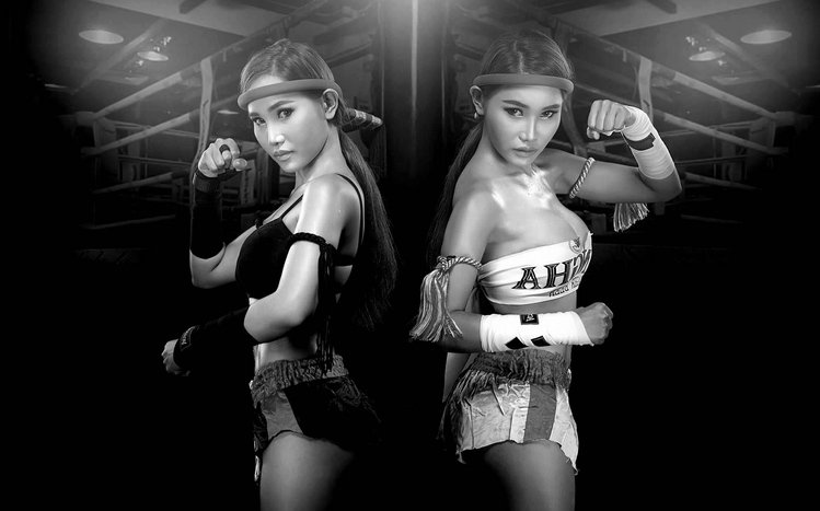 Muay Thai Theme screenshot #1