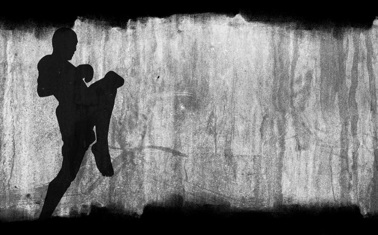 Muay Thai Theme screenshot #2