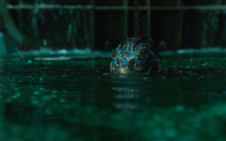 The Shape of Water Theme screenshot #2