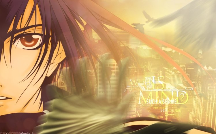 D.N.Angel Theme screenshot #2