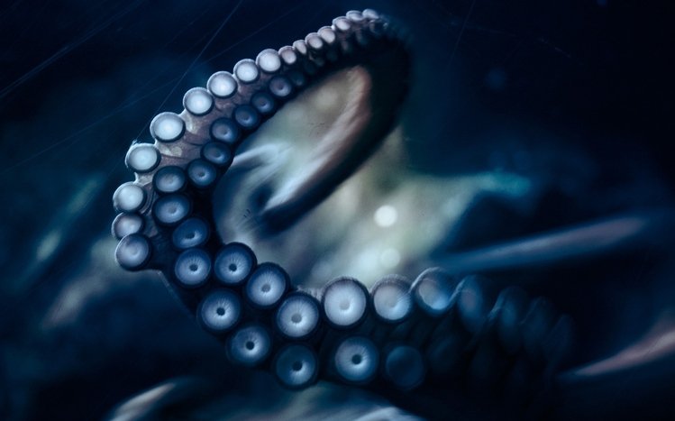 Tentacles Theme screenshot #2