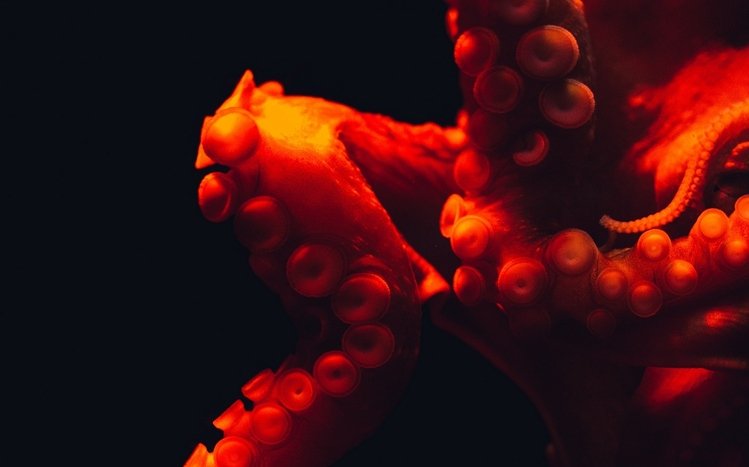 Tentacles Theme screenshot #9