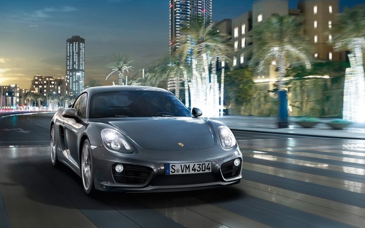 Porsche Cayman Theme screenshot #5