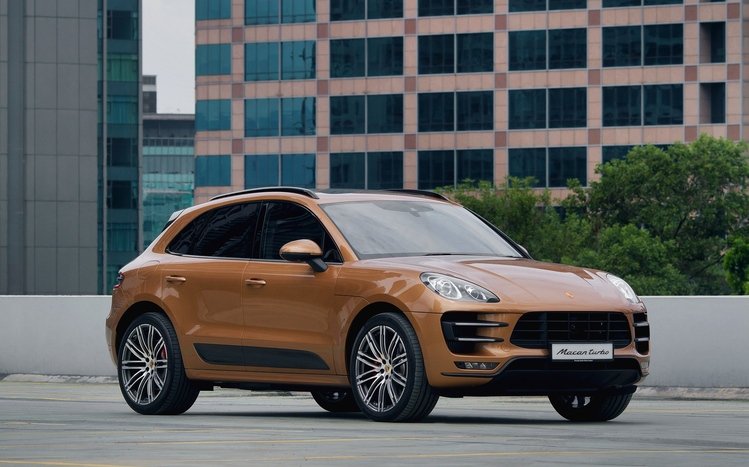 Porsche Macan Theme screenshot #12