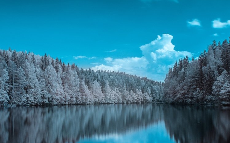 Forests (Dual Monitor) Theme screenshot #5