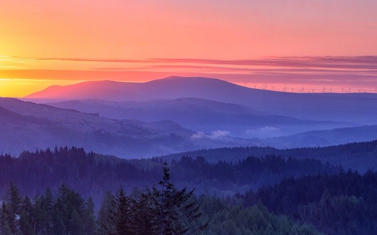 Forests (Dual Monitor) Theme screenshot #11