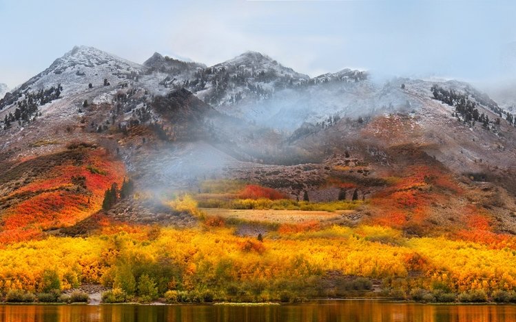 Nature (Dual Monitor) Theme screenshot #3