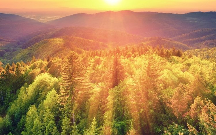 Nature (Dual Monitor) Theme screenshot #10