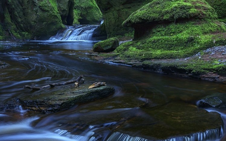 Nature (Dual Monitor) Theme screenshot #19