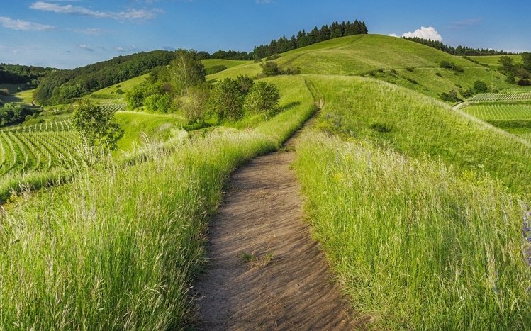 Nature (Dual Monitor) Theme screenshot #6