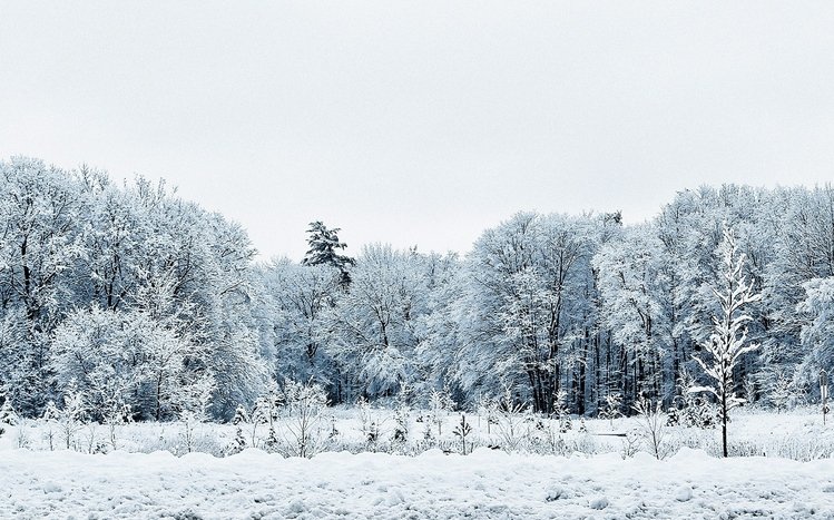 Winter (Dual Monitor) Theme screenshot #10