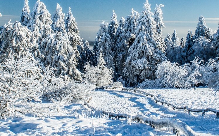 Winter (Dual Monitor) Theme screenshot #16