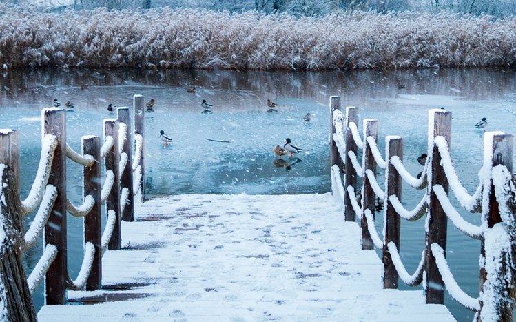 Winter (Dual Monitor) Theme screenshot #2