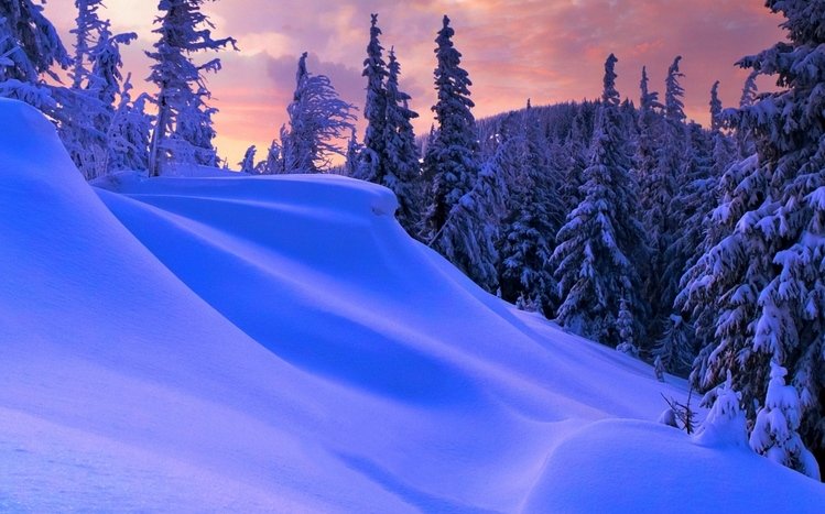 Winter (Dual Monitor) Theme screenshot #12