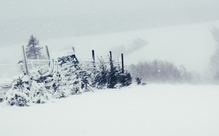 Winter (Dual Monitor) Theme screenshot #8