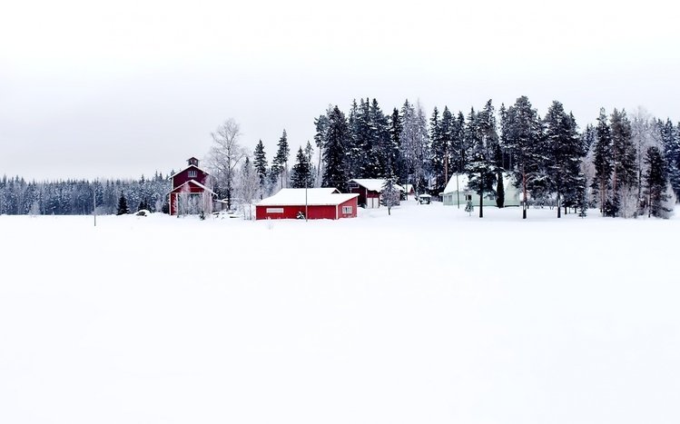 Winter (Dual Monitor) Theme screenshot #1