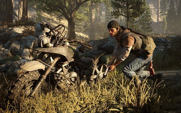 Days Gone Theme screenshot #5