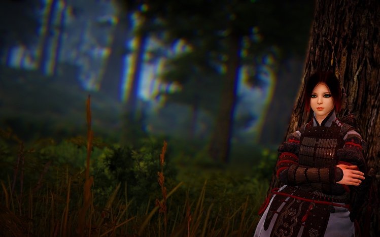Black Desert Online Theme screenshot #13