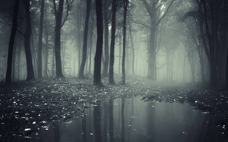 Dark Forest Theme screenshot #15