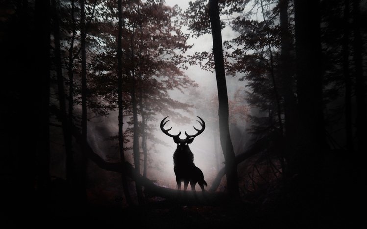 Dark Forest Theme screenshot #13