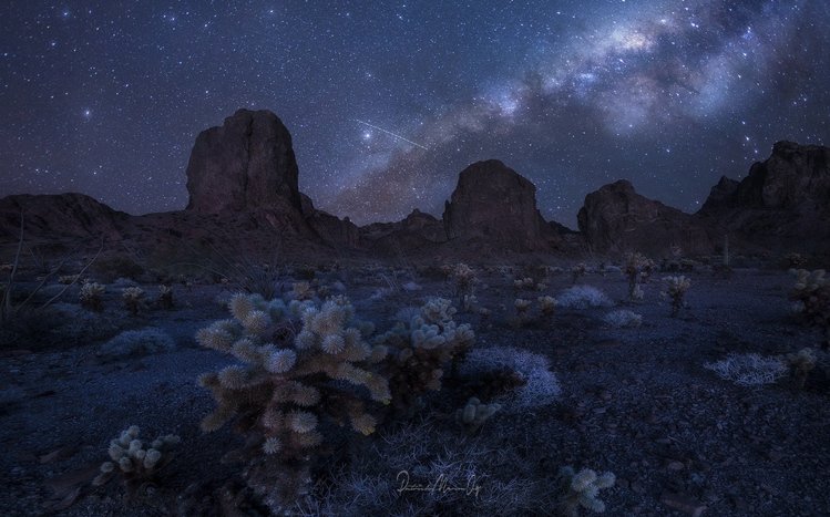 Starry Night Sky Theme screenshot #4