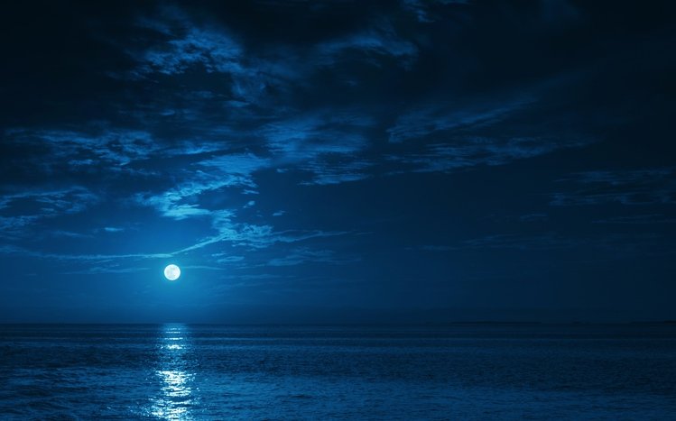 Starry Night Sky Theme screenshot #10