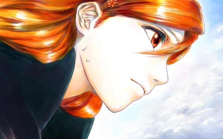 Orihime Inoue Theme screenshot #12