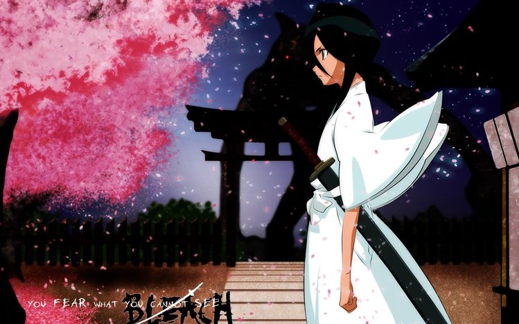 Rukia Kuchiki Theme screenshot #7