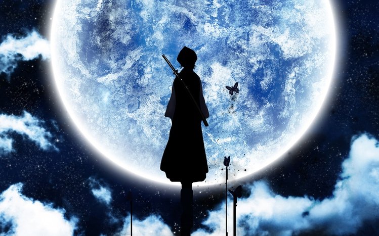 Rukia Kuchiki Theme screenshot #9
