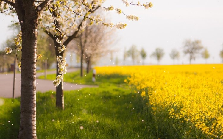 First Day of Spring Theme screenshot #8