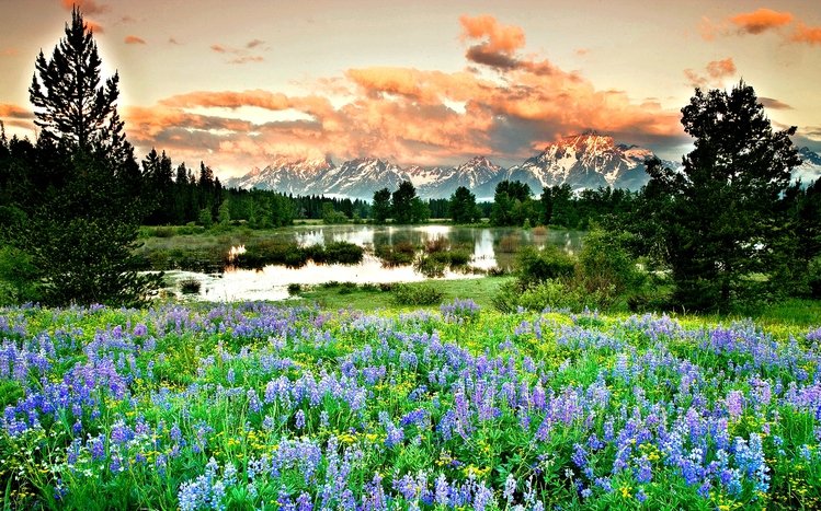 First Day of Spring Theme screenshot #6