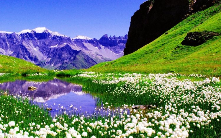 First Day of Spring Theme screenshot #12