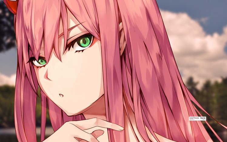 Zero Two Theme screenshot #7