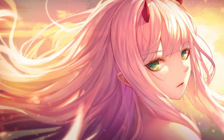 Zero Two Theme screenshot #5