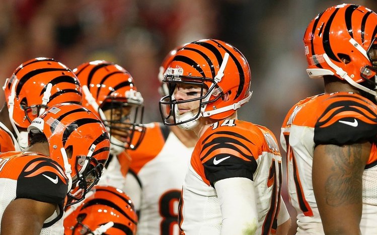  Football (NFL) Theme screenshot #8