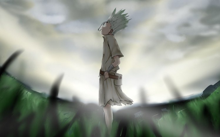 Dr. Stone Theme screenshot #9