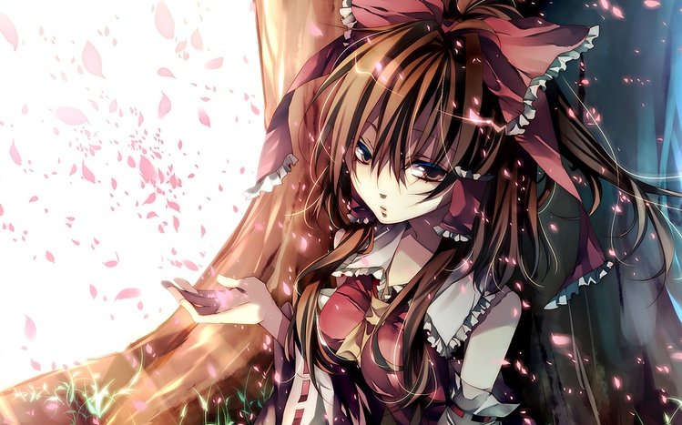 Reimu Hakurei Theme screenshot #8