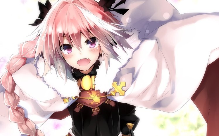 Fate/Apocrypha Theme screenshot #8