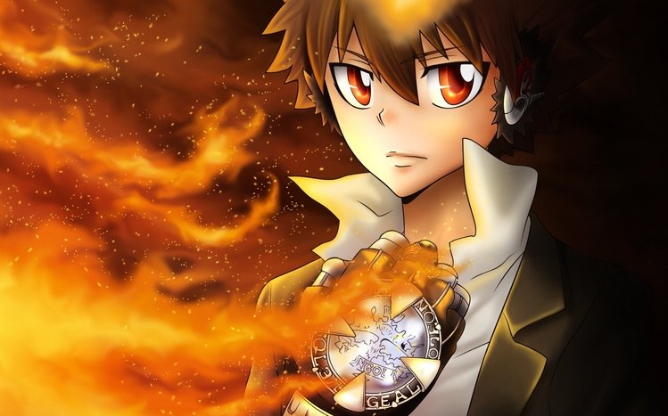 Katekyo Hitman Reborn Theme screenshot #14